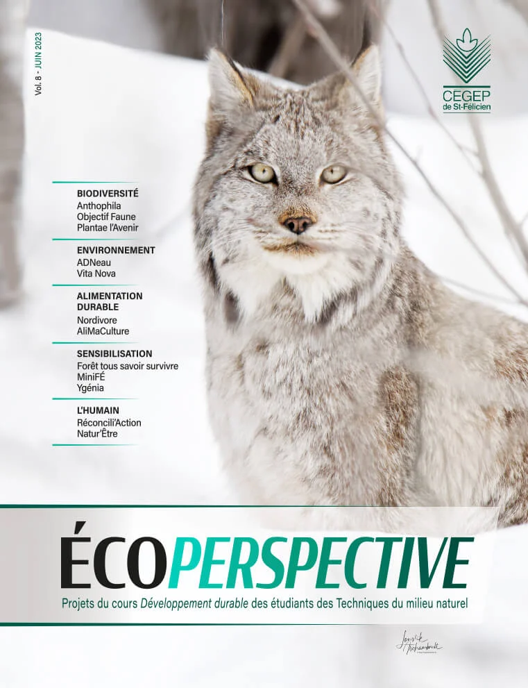 Éco Perspective 2023