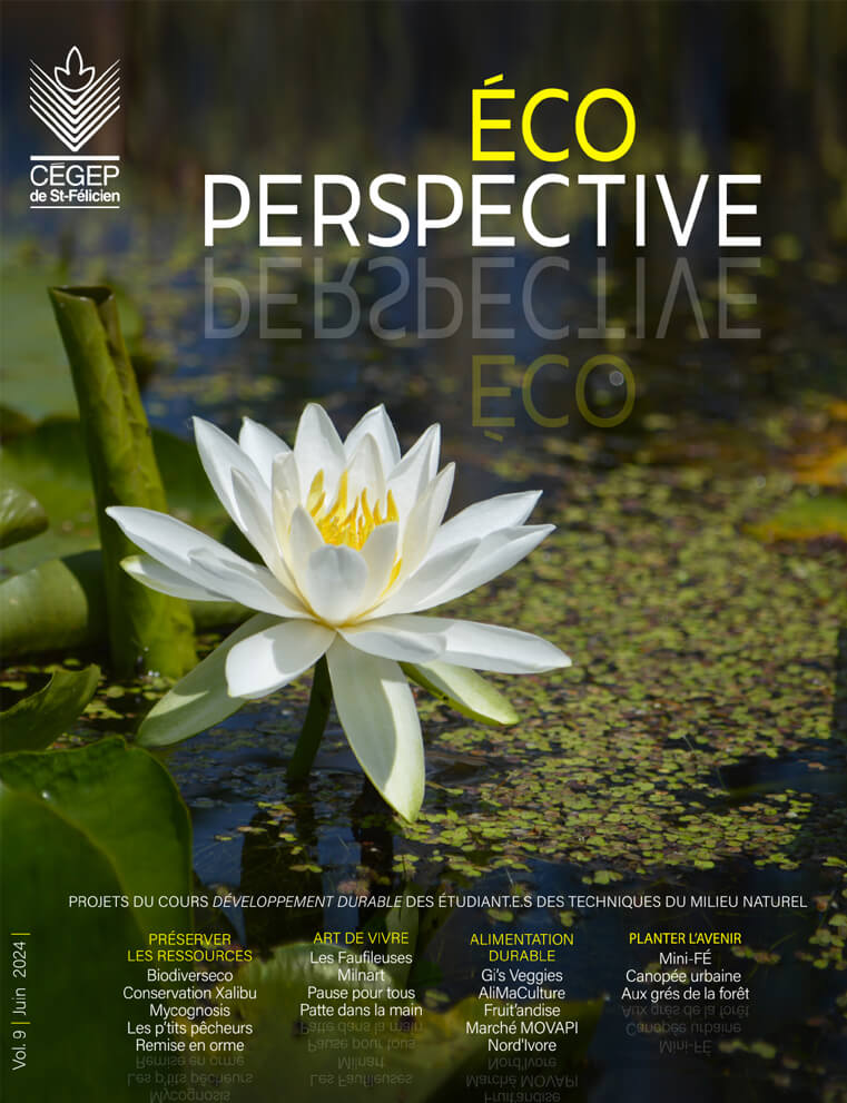 Éco Perspective 2024