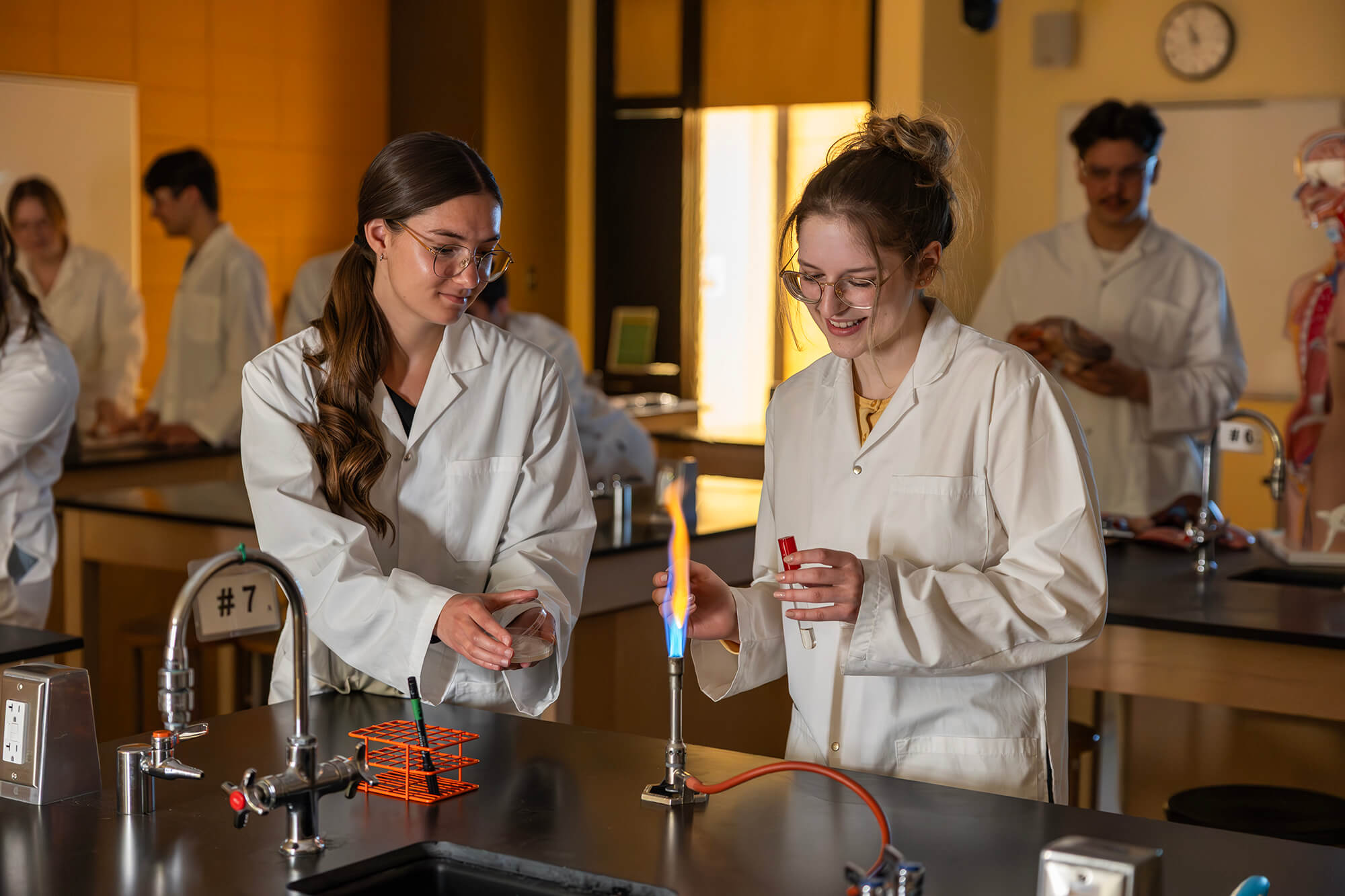 Sciences Nature 26 (2)