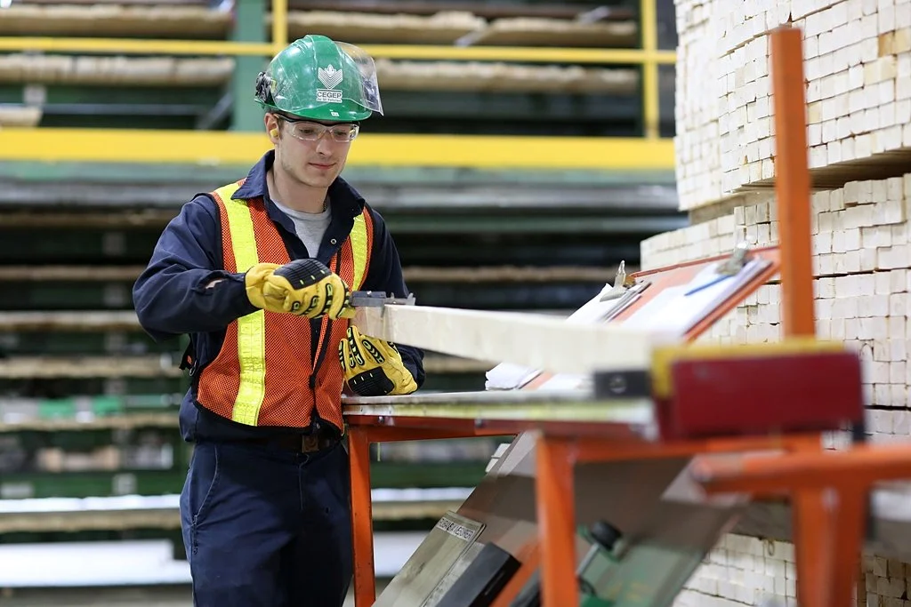 Transformation Des Produits Forestiers (10)