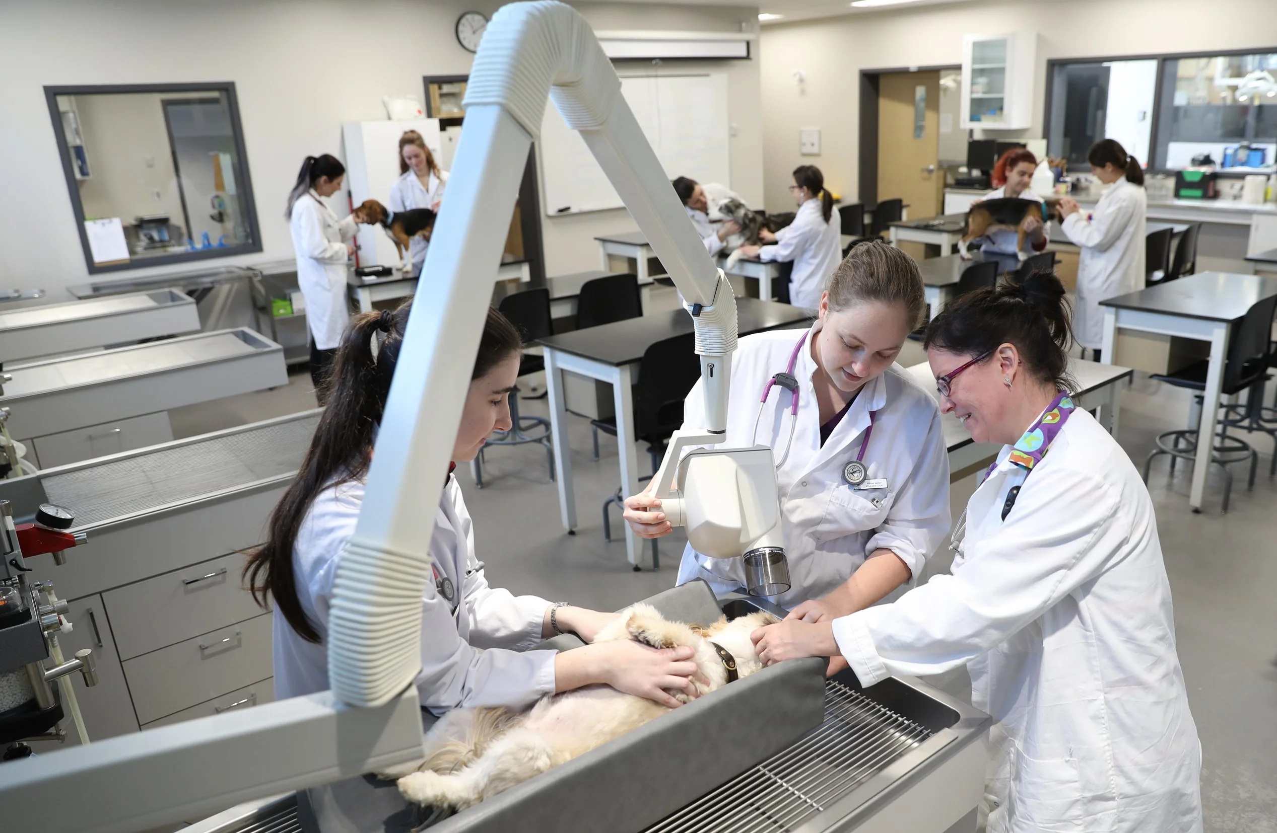 Dentisterie