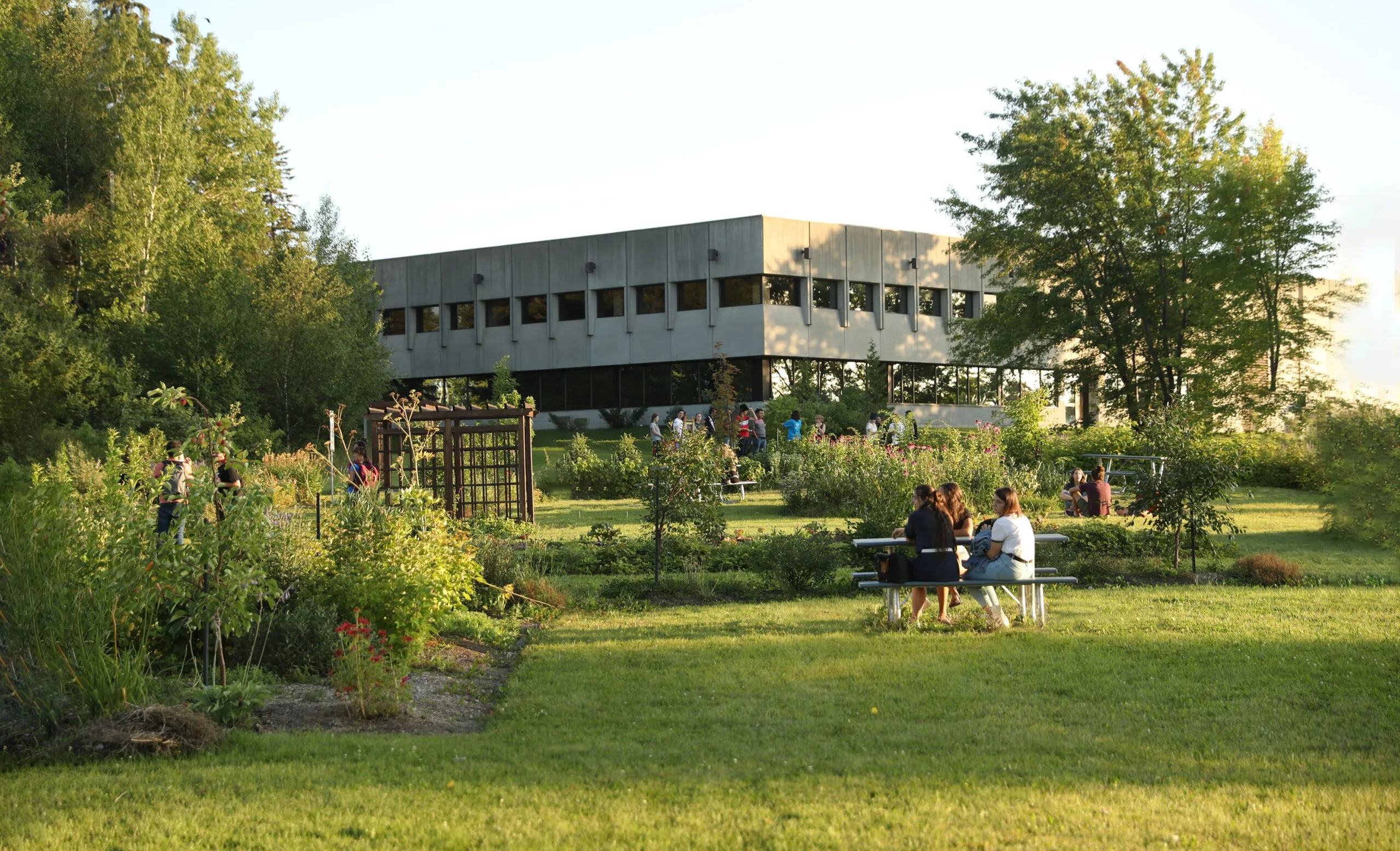 Foret Nourriciere Du Cegep De St Felicien