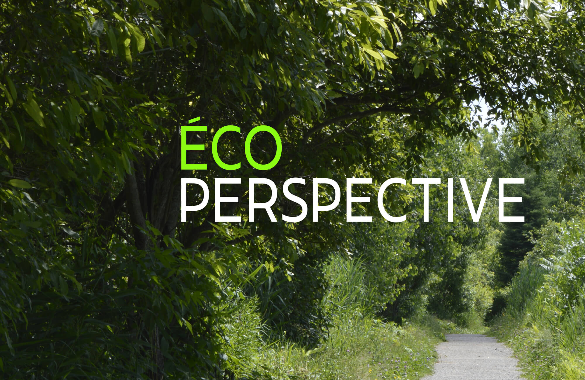 REVUE ÉCOPERSPECTIVE