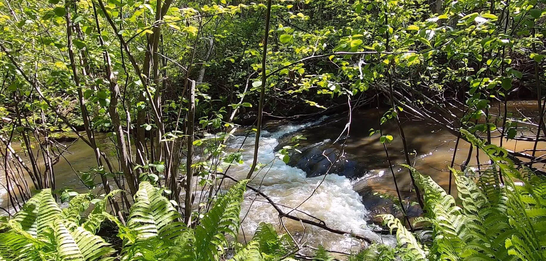 Rivière Eusèbe 3