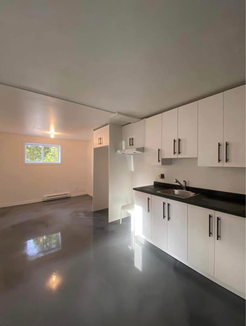 4½ à louer fraîchement rénové Original F3CA16C3 E7DB 48F5 85E4 2BEE49894509