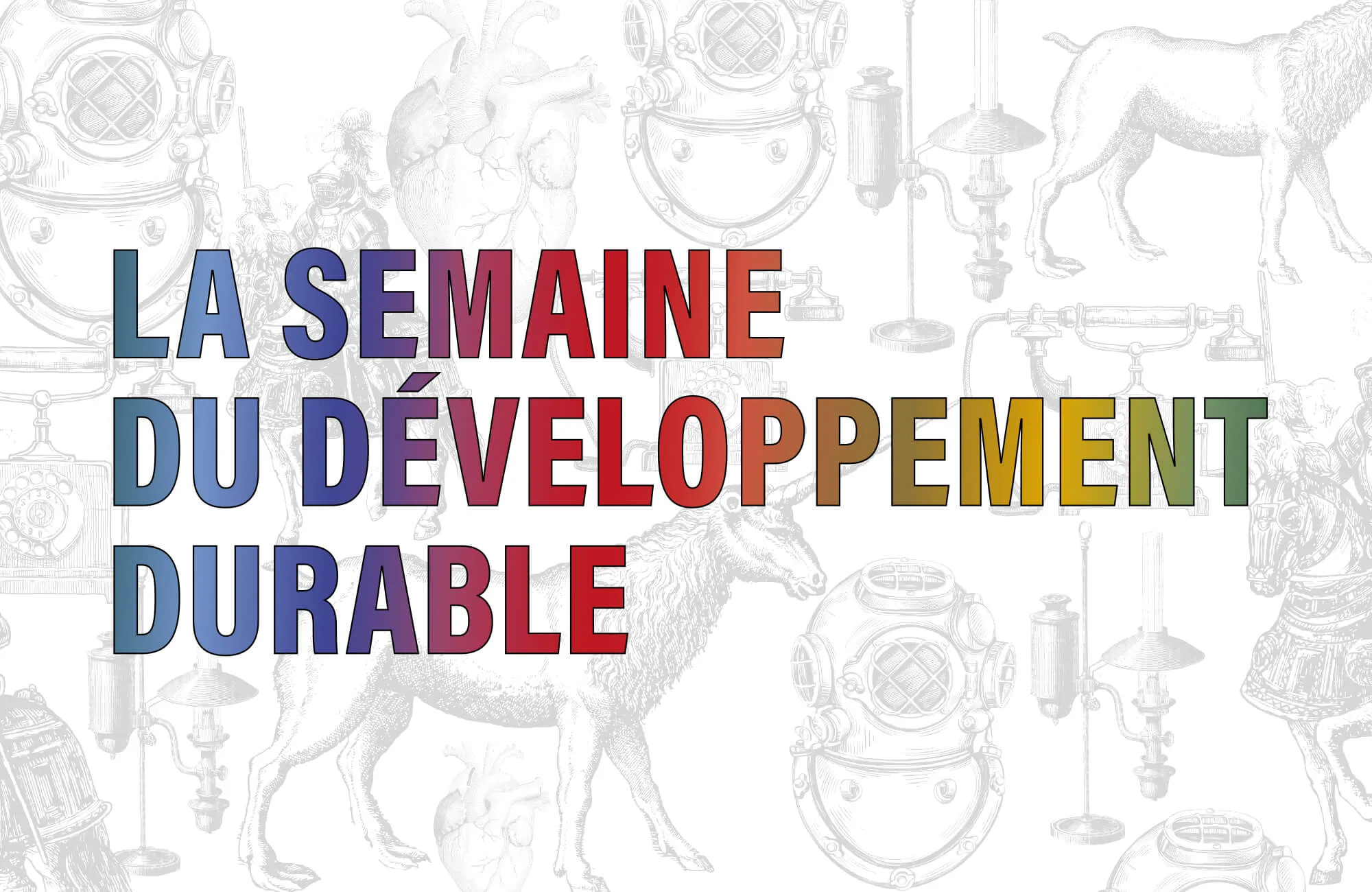 Semaine DD 2025 Événement Site Web OK TINY
